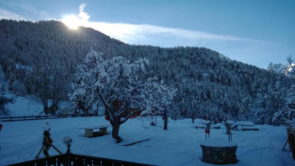 La Foret De Maronne لا جارْد المظهر الخارجي الصورة