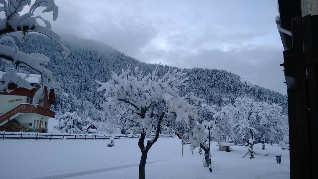 La Foret De Maronne لا جارْد المظهر الخارجي الصورة
